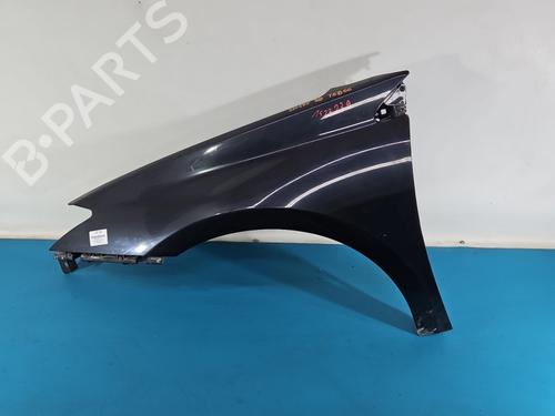 Guarda-lamas esquerdo Guarda-lamas esquerdo RENAULT LAGUNA III Grandtour (KT0/1) 2.0 16V (KT0F, KT0W) (140 hp) 38148740 38148740