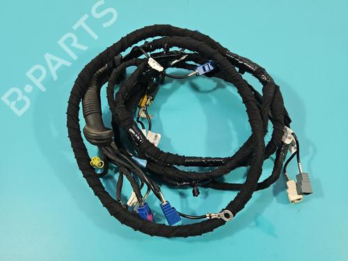 Wiring harness TESLA MODEL S (5YJS) P85 | BP38123632E16  - Image 8