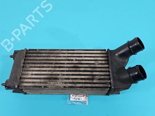 intercooler-peugeot-partner-tepee-2008-37813345 main image