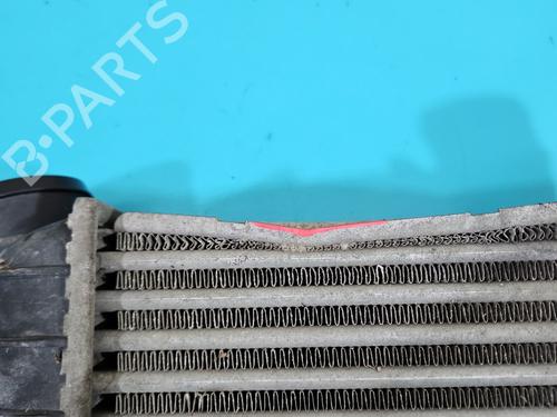 Intercooler SKODA FABIA I Combi (6Y5) 1.9 TDI | BP38125219M30 - Image 3