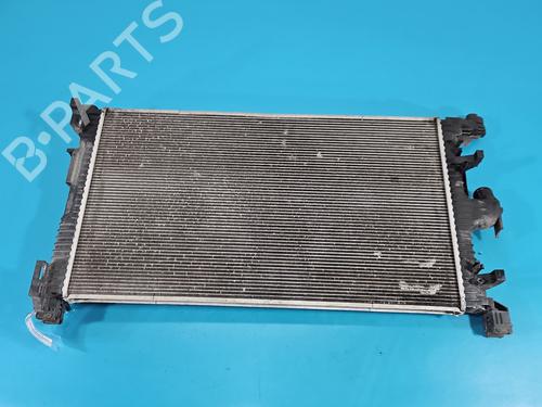 Water radiator RENAULT EXPRESS Box Body/MPV | BP38050751M31 - Image 3