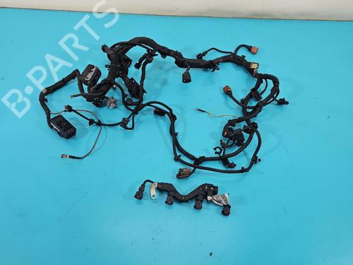 Used Wiring harness Wiring harness OPEL INSIGNIA A Sports Tourer (G09) 2.0 CDTI (35) (160 hp) 38145691 38145691