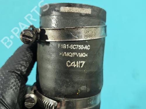 Pipe FORD TRANSIT CONNECT V408 Box Body/MPV | BP38141254M125 - Image 6
