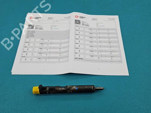 Used Injector Injector RENAULT CLIO II (BB_, CB_) 1.5 dCi (B/CB07) (65 hp) 38128519 38128519
