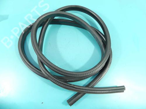 Gummiliste BMW X1 (E84) sDrive 18 d | BP37809517C142 - Image 2
