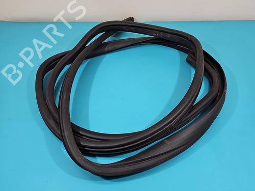 Gummiliste DODGE GRAND CARAVAN 3.6 | BP38126685C142 - Image 7