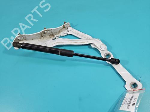 Hinge/Door check strap TESLA MODEL 3 (5YJ3) | BP38128295C146 - Image 2