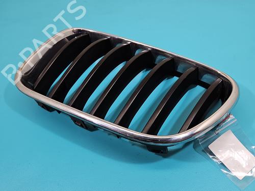 grille-bmw-x3-f25-2010-2011-2012-2013-2014-2015-2016-2017-37815751 main image