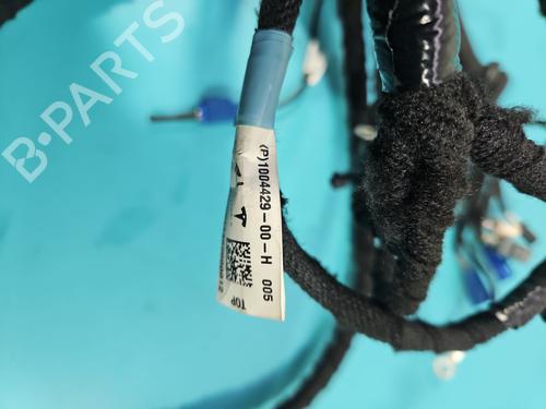 Wiring harness TESLA MODEL S (5YJS) P85 | BP38123632E16  - Image 20