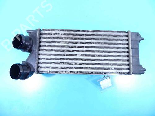 Used Intercooler Intercooler CITROËN C4 II (NC_) 1.6 HDi 110 (112 hp) 37807130 37807130