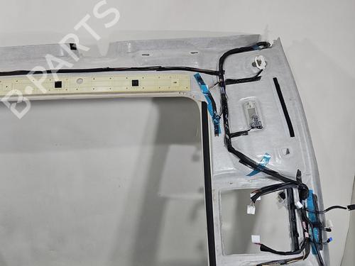 Interior roof LEXUS NX (_Z1_) 300h AWD (AYZ15, AYZ15_, AYZ15R) | BP37842963I12 - Image 12