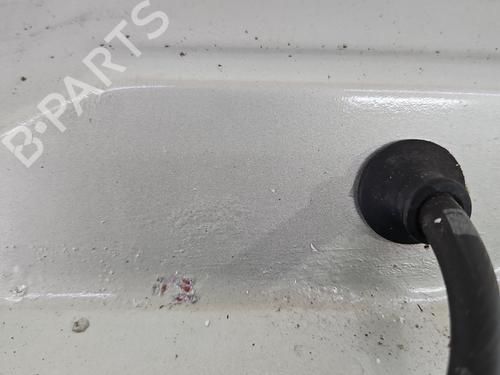 Tailgate SMART FORFOUR (454) 1.3 (454.031) | BP38141305C6  - Image 11