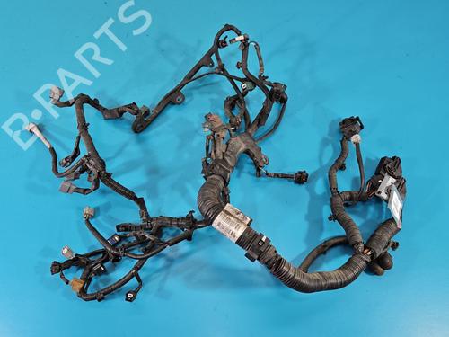 Used Wiring harness Wiring harness NISSAN JUKE (F15) 1.2 DIG-T (115 hp) 39978950 39978950