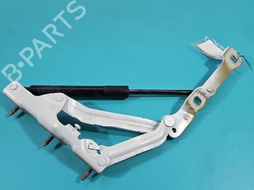 Hinge/Door check strap TESLA MODEL 3 (5YJ3) | BP38128295C146 - Image 3