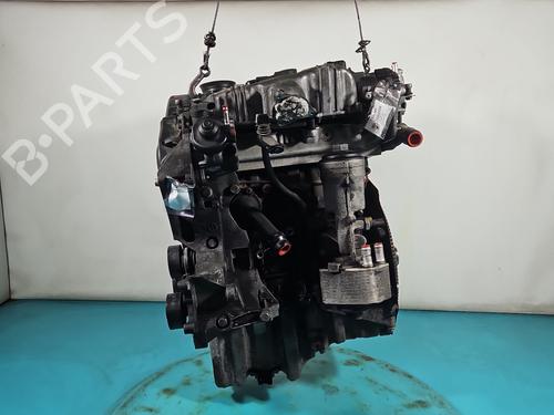 Engine AUDI Q5 (8RB) | BP38125664M1 - Image 6