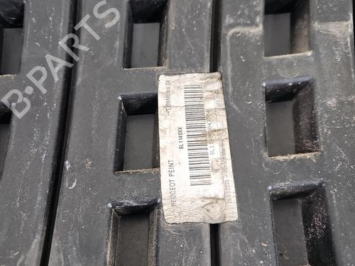 Grill PEUGEOT EXPERT Van (V_) 2.0 BlueHDi 120 | BP38133553C40 - Image 6