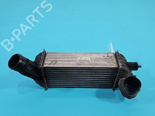 Used Intercooler Intercooler CITROËN C4 II (NC_) 2.0 HDi / BlueHDi 150 (150 hp) 38139326 38139326