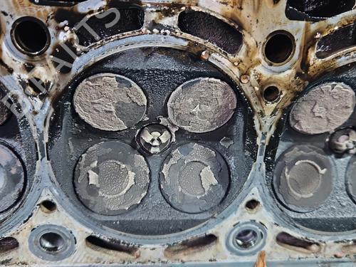 Cylinder head SEAT LEON (1M1) 1.6 16 V | BP39987309M5  - Image 14