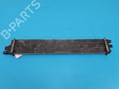Water radiator RENAULT MASTER III Van (FV) 2.3 dCi 165 FWD (FV0P, FV0U, FV11, FV12, FV1E) | BP38150054M31 - Image 2