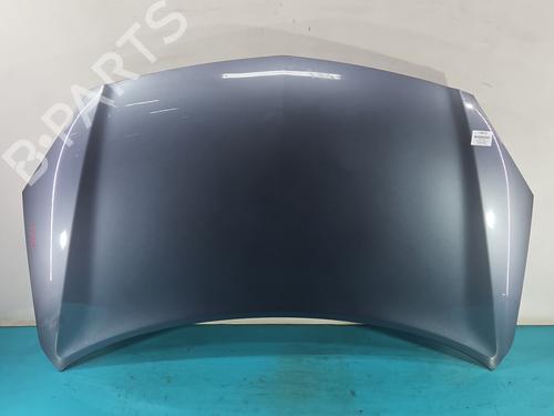 hood-renault-koleos-i-hy_-2008-37813480 main image