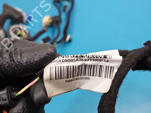 Wiring harness CITROËN DS4 (NX_) 2.0 HDi / BlueHDi 135 | BP37824831E16 - Image 9
