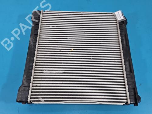 Used Intercooler Intercooler LAND ROVER RANGE ROVER SPORT I (L320) 3.6 D 4x4 (272 hp) 37831482 37831482
