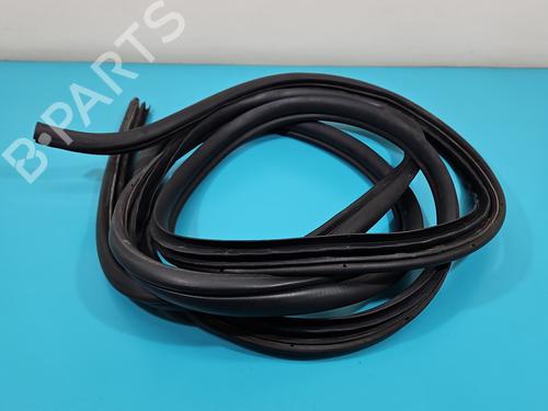 rubber-door-seal-hyundai-h-1-cargo-tq-2007-38129366 main image