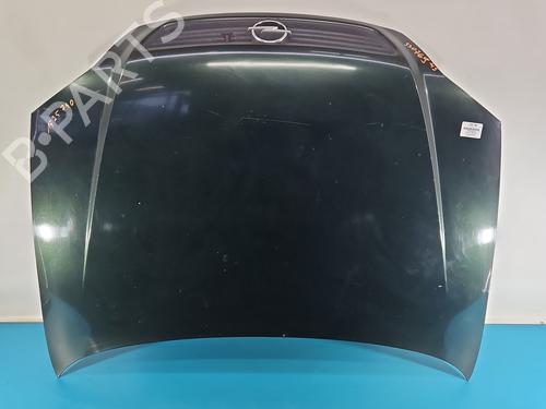 Motorhaube für Motorhaube 38148245 38148245