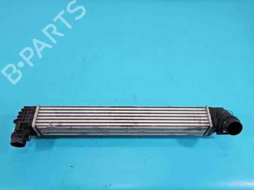 Used Intercooler Intercooler RENAULT SCÉNIC III (JZ0/1_) 1.5 dCi (106 hp) 37819985 37819985
