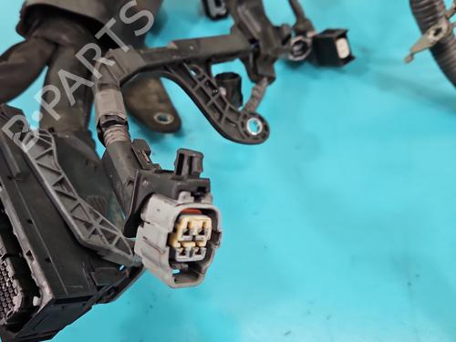 Wiring harness LEXUS NX (_Z1_) 200t (AGZ10_, AGZ10R) | BP37822568E16 - Image 4