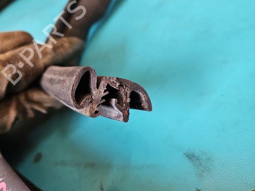 Gummiliste DODGE GRAND CARAVAN 3.6 | BP38126686C142 - Image 2