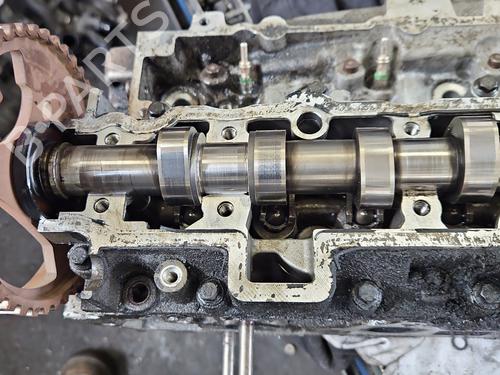 Cylinder head FORD TRANSIT CONNECT V408 Box Body/MPV | BP38141164M5 - Image 4