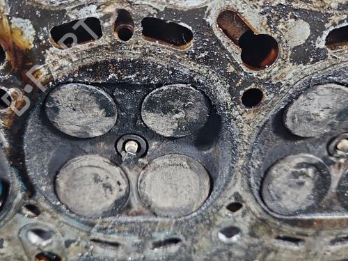 Cylinder head FIAT IDEA (350_) | BP39525680M5 - Image 16
