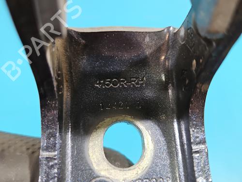 Hinge/Door check strap RENAULT CLIO V (B7_) 1.0 TCe 90 (B7MT) | BP37839902C146 - Image 13