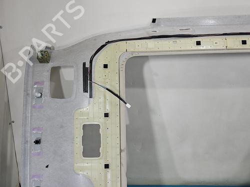 Interior roof LEXUS NX (_Z1_) 300h AWD (AYZ15, AYZ15_, AYZ15R) | BP37842963I12 - Image 11