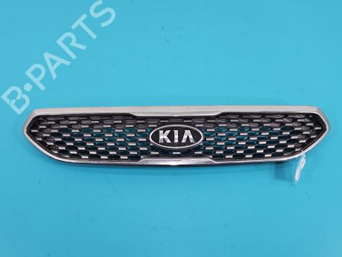 Used Grille Grille 38139503 38139503
