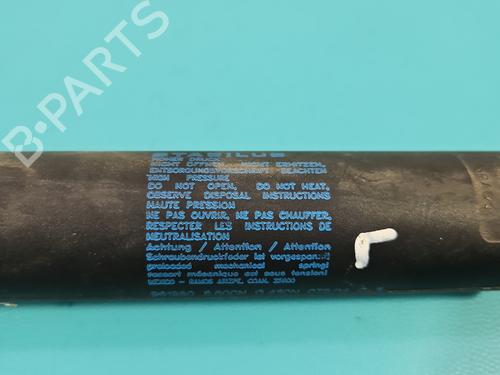 Tailgate lift support TESLA MODEL S (5YJS) P85 | BP38123727C138 - Image 8