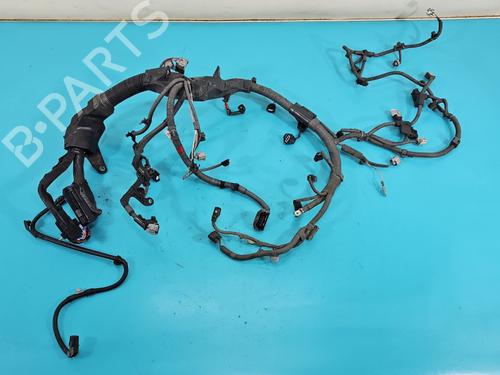 Used Wiring harness Wiring harness LEXUS NX (_Z1_) 200t (AGZ10_, AGZ10R) (238 hp) 37822568 37822568