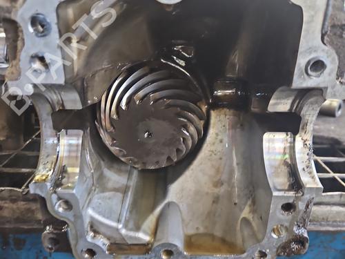 Rear differential SUZUKI SX4 (EY, GY) 2.0 4x4 (RW415, RW416, RW420, YB41S) | BP38147809M24 - Image 4