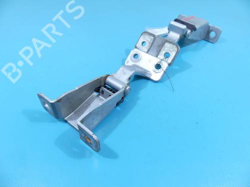 hingedoor-check-strap-renault-kangoo-express-fw01_-2008-37885163 main image