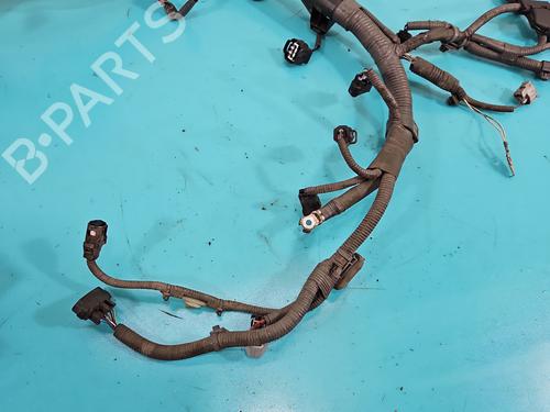 Wiring harness LEXUS NX (_Z1_) 200t (AGZ10_, AGZ10R) | BP37822568E16 - Image 8