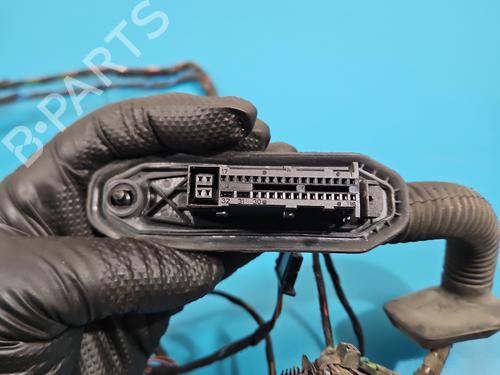 Wiring harness BMW X6 (E71, E72) xDrive 40 d | BP37824509E16  - Image 8
