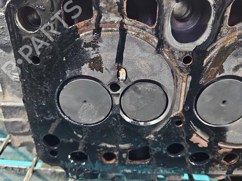 Cylinder head FORD FOCUS C-MAX (DM2) | BP38152176M5 - Image 17