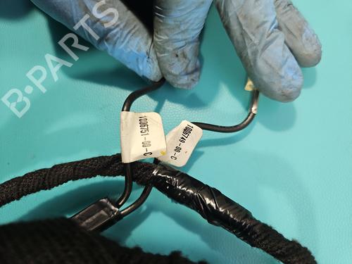 Wiring harness TESLA MODEL S (5YJS) P85 | BP38123632E16  - Image 15