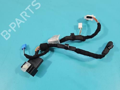 Ledningsnet Ledningsnet BMW 3 (G20, G80, G28) 318 i (156 hp) 37847885 37847885