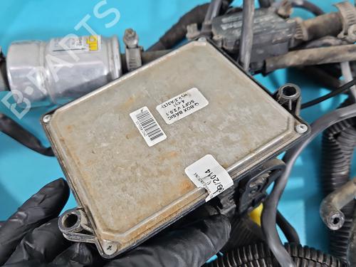 Andre FIAT PANDA (169_) 1.1 (169.AXA1A) | BP37810865O1  - Image 6