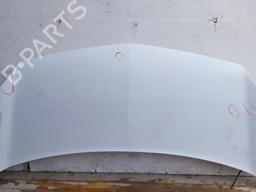 hood-renault-kangoo-express-fw01_-2008-38813320 main image