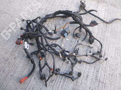 Wiring harness NISSAN PULSAR Hatchback (C13) 1.5 dCi | BP38803548E16 - Image 4