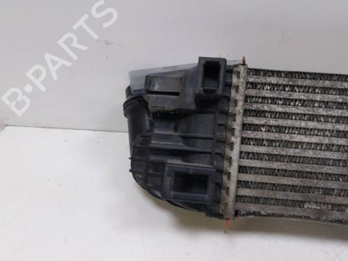 Intercooler RENAULT TRAFIC III Van (FG_) 1.6 dCi 125 (FGMH) | BP39247605M30 - Image 10