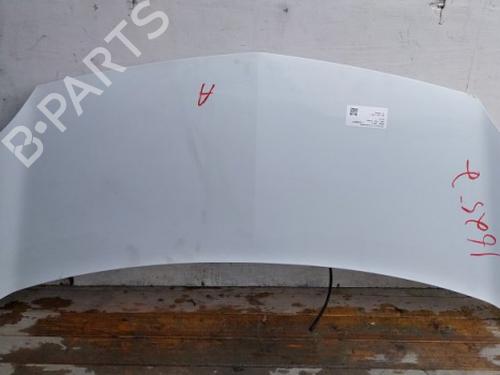 hood-renault-kangoo-express-fw01_-2008-38807128 main image